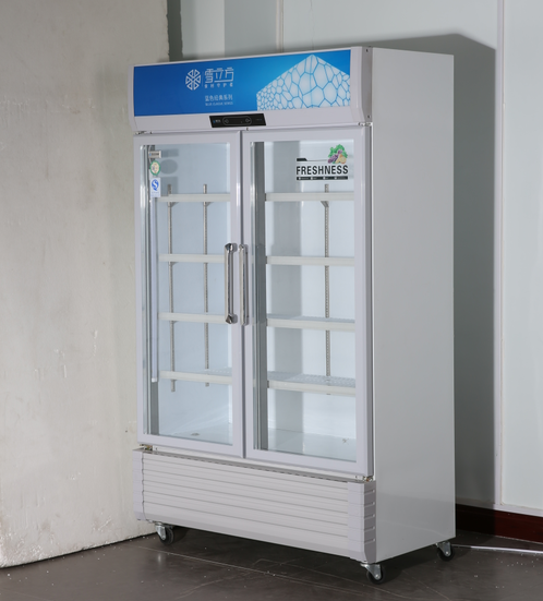 Тип дисплея двойных стеклянных дверей экономический refrigerate и сохраняет шкаф пива свежести на напитки 0