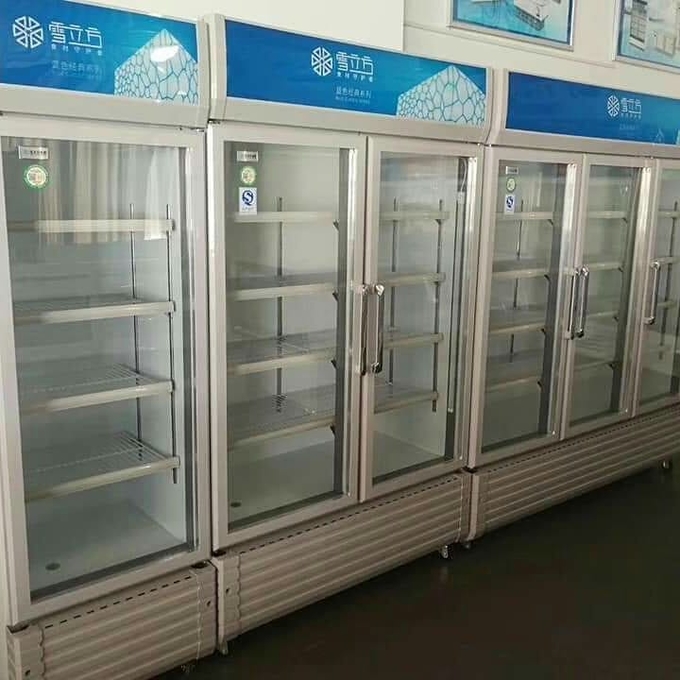 Тип дисплея двойных стеклянных дверей экономический refrigerate и сохраняет шкаф пива свежести на напитки 4