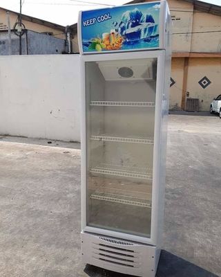 Electric Drink 290L Single Door Display Chiller Direct Cooling