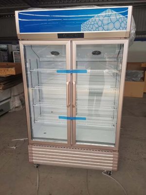Upright 2 Door Glass Commercial Freezer Drink Fan Cooling
