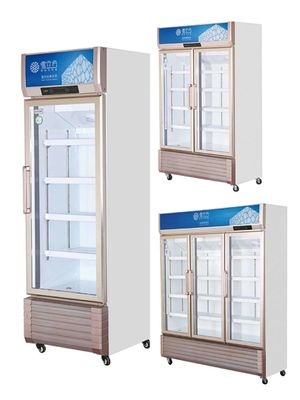 Double door refrigerator commercial freezer fresh drink freezerbeer freezer