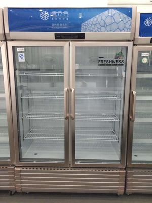 Double door refrigerator commercial freezer fresh drink freezerbeer freezer